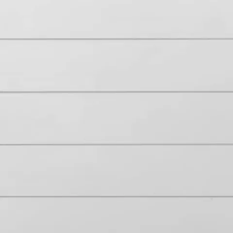 RAL 9003 Гладкий Мат 11007