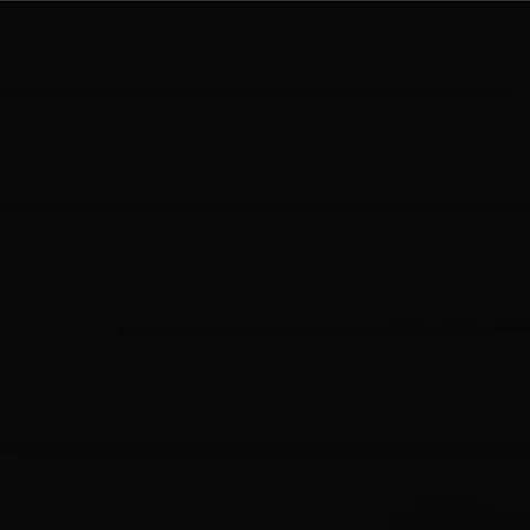 RAL 9005 Гладкая Глянцевая 30008