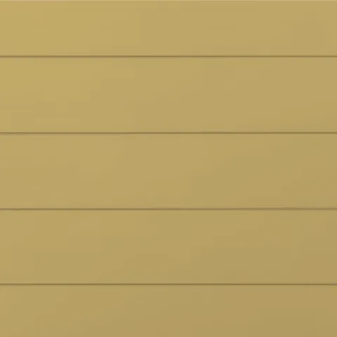 RAL 1002 Гладкий Мат 10012