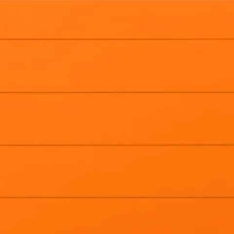 RAL 2007 Гладкий Глянец 10191