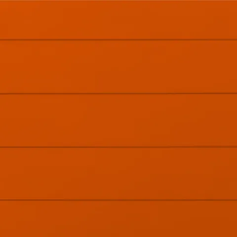 RAL 2009 Гладкий Мат 10202