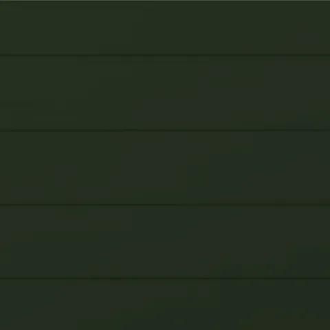 RAL 6007 Шагрень 10570