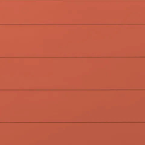 RAL 2012 Гладкий Глянец 10216