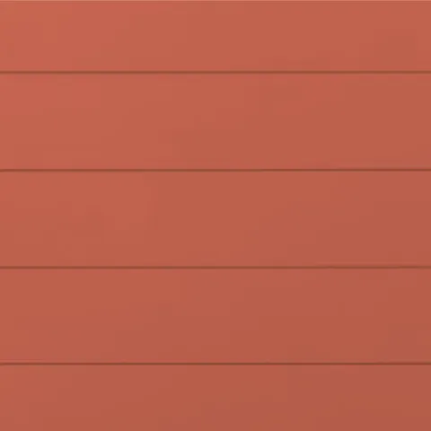 RAL 3022 Шагрень 10320